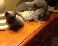 到底是不是亲生的，摔下去了还看